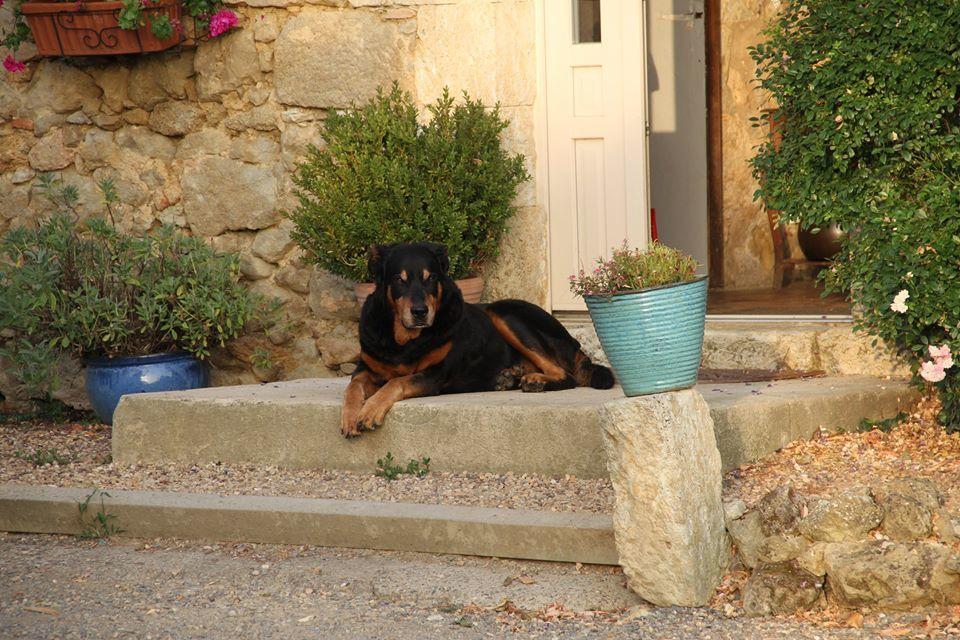 Chambres D'Hotes Hameau De Lalanne Castillon-Massas Zewnętrze zdjęcie